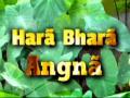 hara bhara angna