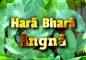 hara bhara angna